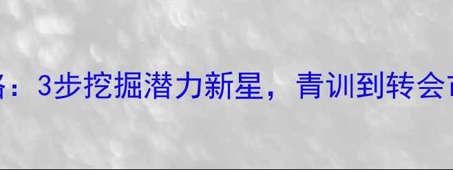 图片 FM找球员全攻略：3步挖掘潜力新星，青训到转会市场保姆级教程