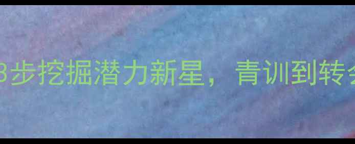 图片 FM找球员全攻略：3步挖掘潜力新星，青训到转会市场保姆级教程2