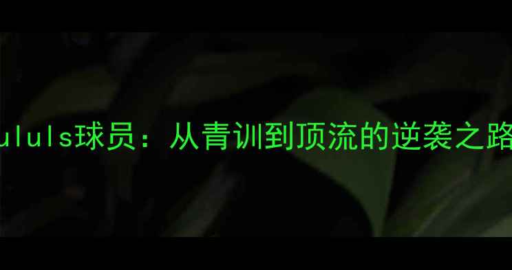 图片 Fululs球员：从青训到顶流的逆袭之路1