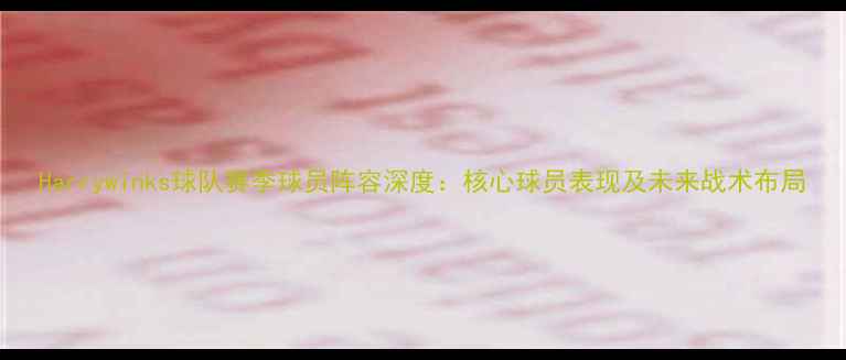 图片 Harrywinks球队赛季球员阵容深度：核心球员表现及未来战术布局