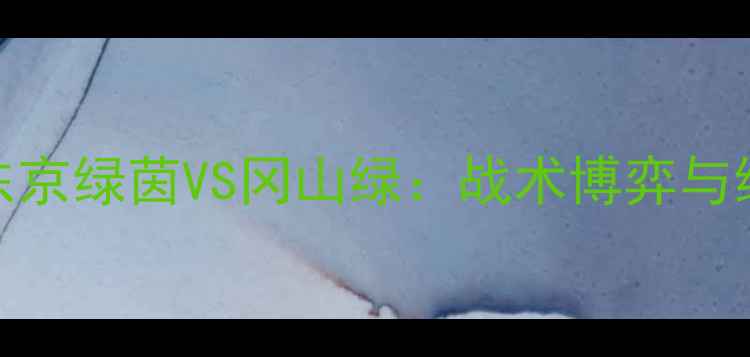 图片 J联赛季后赛巅峰对决！东京绿茵VS冈山绿：战术博弈与绿茵传奇的终极碰撞🔥🏆2