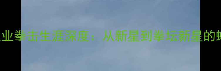 图片 KellieJaneJoshua职业拳击生涯深度：从新星到拳坛新星的蜕变之路及未来展望2