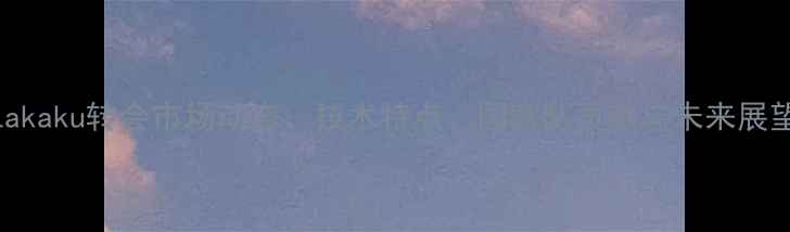 图片 Lakaku转会市场动态：技术特点、国家队贡献与未来展望