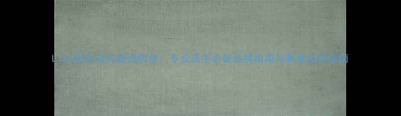 图片 Lion羽毛球装备选购全：专业选手必备品牌指南与赛事应用指南