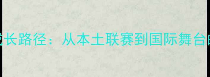 图片 MLB中国球员成长路径：从本土联赛到国际舞台的突破与机遇1