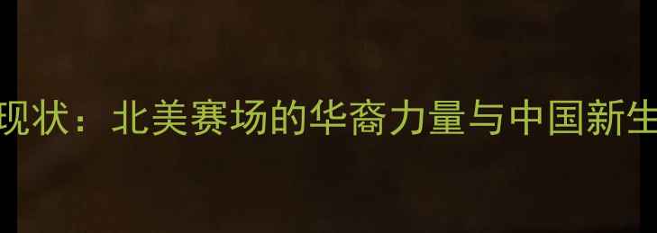 图片 MLB中国球员现状：北美赛场的华裔力量与中国新生代成长故事2