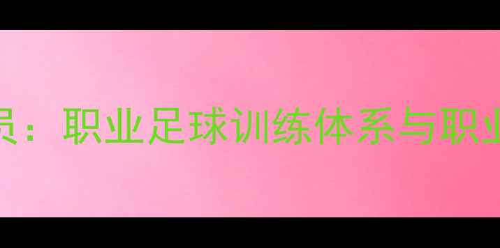 图片 Moller球员：职业足球训练体系与职业发展路径