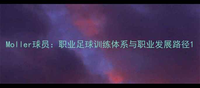 图片 Moller球员：职业足球训练体系与职业发展路径1