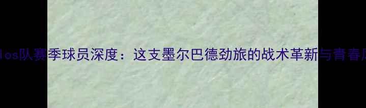 图片 Morelos队赛季球员深度：这支墨尔巴德劲旅的战术革新与青春风暴1