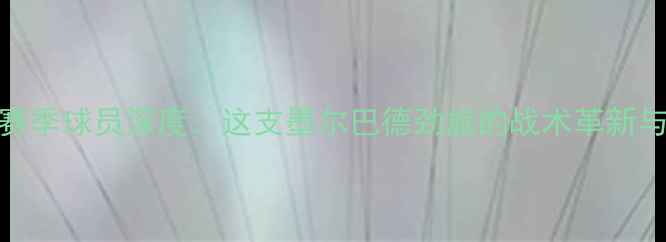 图片 Morelos队赛季球员深度：这支墨尔巴德劲旅的战术革新与青春风暴2