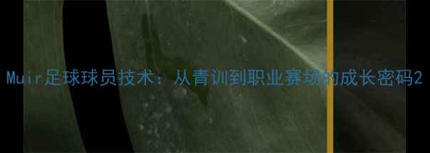 图片 Muir足球球员技术：从青训到职业赛场的成长密码2