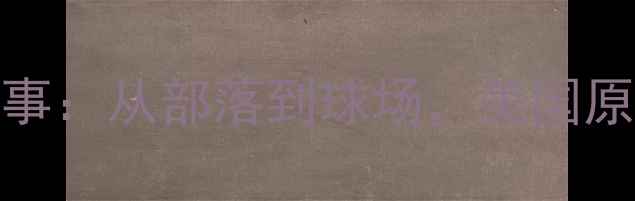 图片 NBA印第安原住民球员传奇故事：从部落到球场，美国原住民在篮球世界的崛起之路2