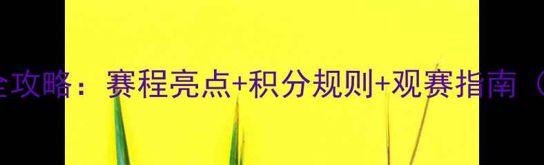 图片 NBA常规赛全攻略：赛程亮点+积分规则+观赛指南（附时间表）