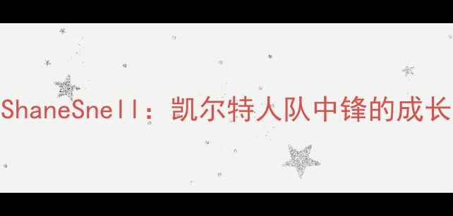 图片 NBA新晋球星ShaneSnell：凯尔特人队中锋的成长密码与数据1