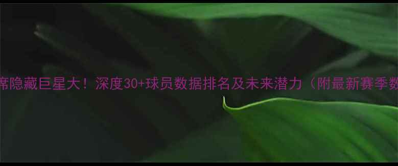 图片 NBA板凳席隐藏巨星大！深度30+球员数据排名及未来潜力（附最新赛季数据表）1