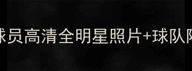 图片 NBA现役球员高清全明星照片+球队阵容深度2