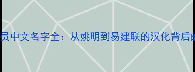 图片 NBA球员中文名字全：从姚明到易建联的汉化背后的故事