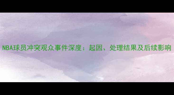 图片 NBA球员冲突观众事件深度：起因、处理结果及后续影响
