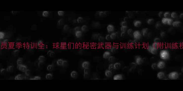 图片 NBA球员夏季特训全：球星们的秘密武器与训练计划（附训练视频）