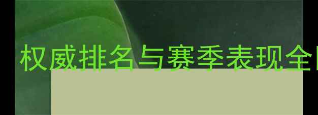 图片 NBA球员实力榜TOP50：权威排名与赛季表现全回顾（附数据图表）2