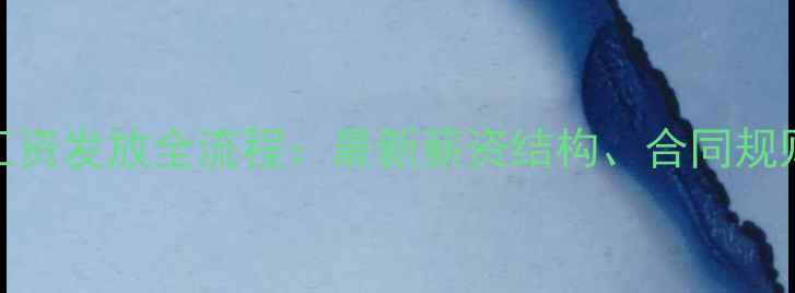 图片 NBA球员工资发放全流程：最新薪资结构、合同规则与收入2