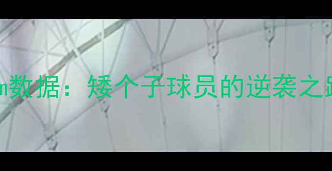 图片 NBA球员身高169cm数据：矮个子球员的逆袭之路与职业发展策略