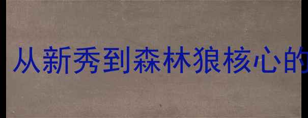 图片 NBA球星米切尔：从新秀到森林狼核心的成长之路及数据