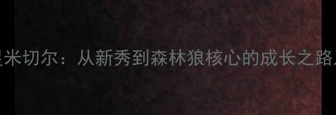 图片 NBA球星米切尔：从新秀到森林狼核心的成长之路及数据1