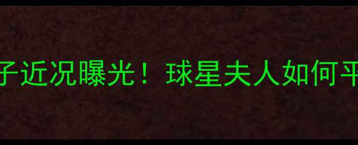 图片 NBA球星维西妻子近况曝光！球星夫人如何平衡事业与家庭2