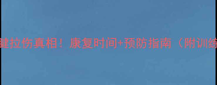 图片 NBA球星跟腱拉伤真相！康复时间+预防指南（附训练动作）💪2