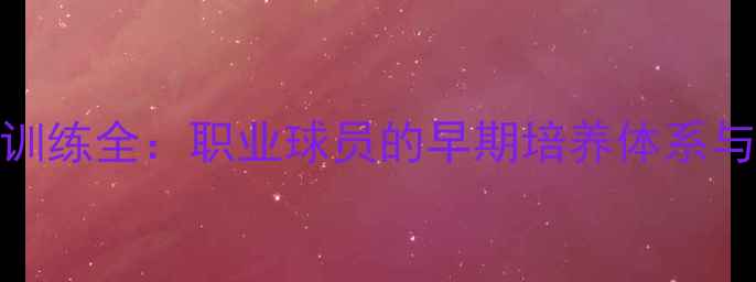 图片 NBA球星高中训练全：职业球员的早期培养体系与科学方法论1