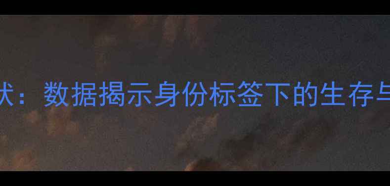 图片 NBA白人球员现状：数据揭示身份标签下的生存与转型（深度）1