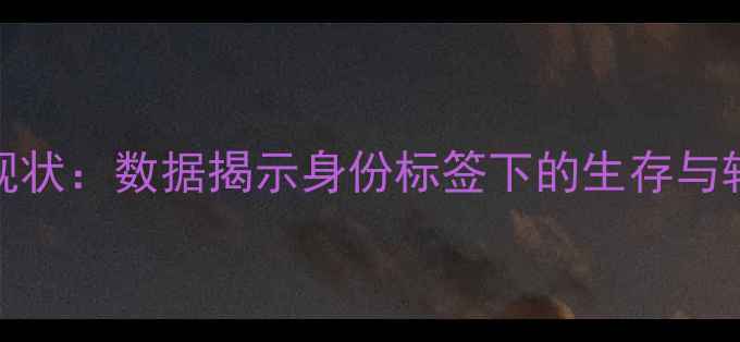 图片 NBA白人球员现状：数据揭示身份标签下的生存与转型（深度）2