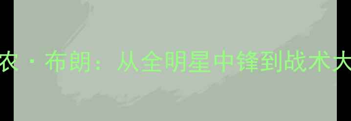 图片 NBA防守传奇香农·布朗：从全明星中锋到战术大师的逆袭人生1