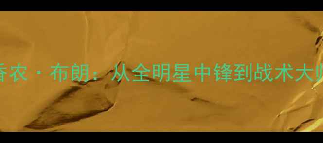 图片 NBA防守传奇香农·布朗：从全明星中锋到战术大师的逆袭人生2