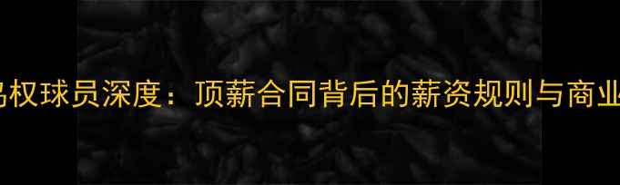图片 NBA鸟权球员深度：顶薪合同背后的薪资规则与商业博弈