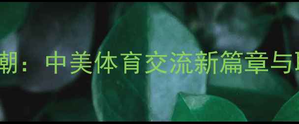 图片 NCAA球员归国潮：中美体育交流新篇章与职业转型路径2