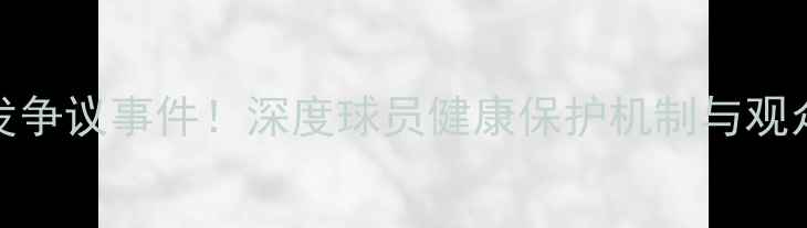 图片 NFL赛季突发争议事件！深度球员健康保护机制与观众安全指南1