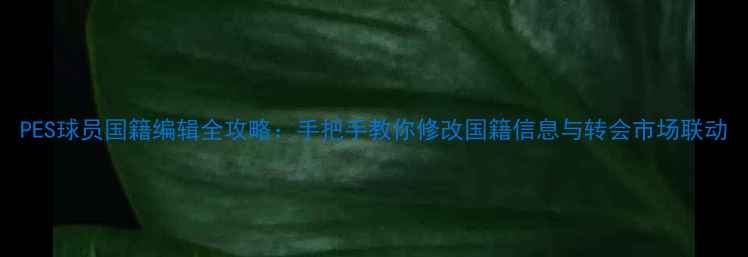 图片 PES球员国籍编辑全攻略：手把手教你修改国籍信息与转会市场联动