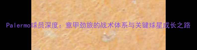 图片 Palermo球员深度：意甲劲旅的战术体系与关键球星成长之路