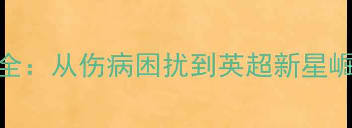 图片 Poole职业生涯全：从伤病困扰到英超新星崛起的数据报告2