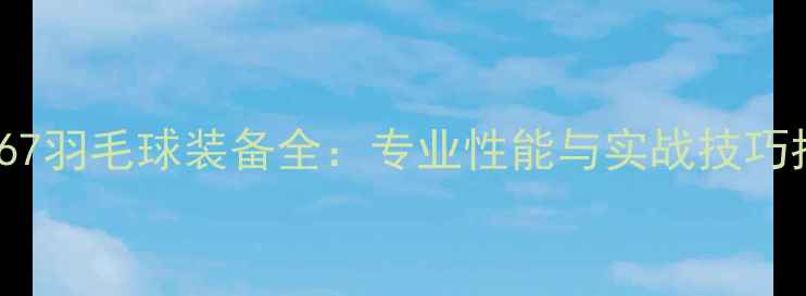 图片 RSL67羽毛球装备全：专业性能与实战技巧指南