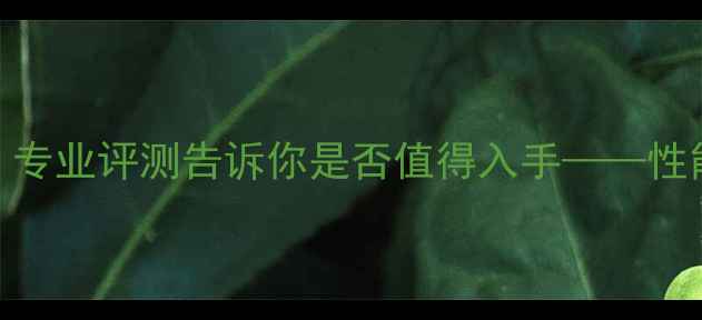 图片 Rez羽毛球拍实测：专业评测告诉你是否值得入手——性能、价格、口碑全2