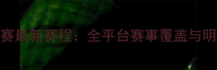 图片 Rizin格斗联赛最新赛程：全平台赛事覆盖与明星选手前瞻1