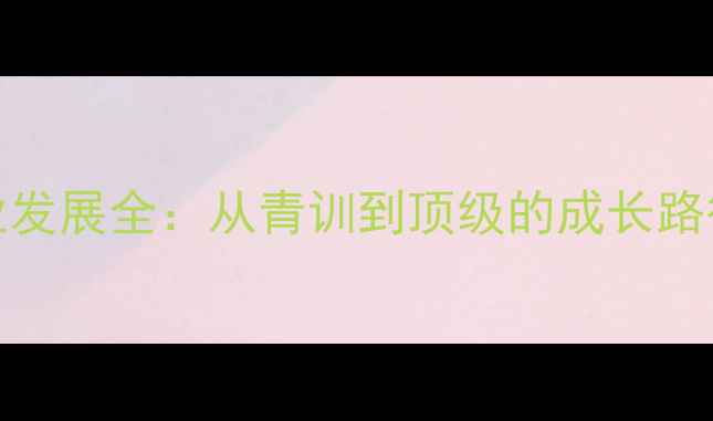 图片 Smith球员职业发展全：从青训到顶级的成长路径与成功经验1
