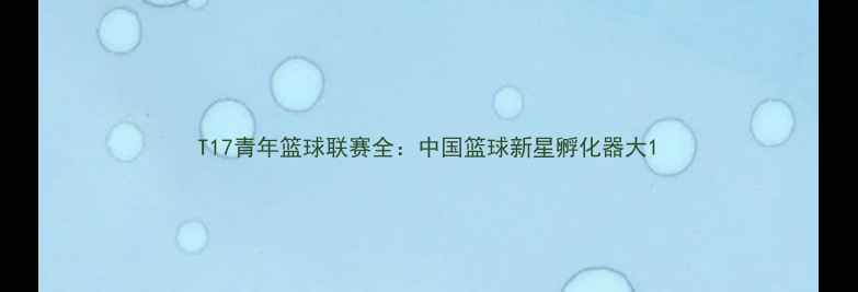 图片 T17青年篮球联赛全：中国篮球新星孵化器大1