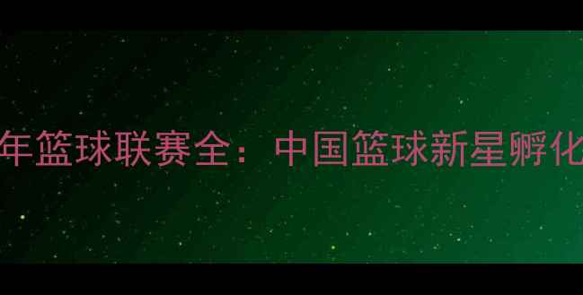 图片 T17青年篮球联赛全：中国篮球新星孵化器大2