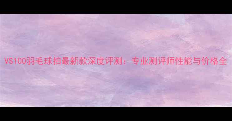 图片 VS100羽毛球拍最新款深度评测：专业测评师性能与价格全