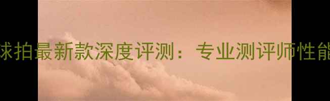 图片 VS100羽毛球拍最新款深度评测：专业测评师性能与价格全1