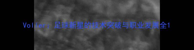 图片 Voller：足球新星的技术突破与职业发展全1